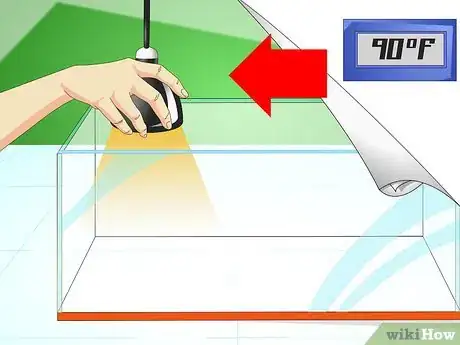 Imagen titulada Care for Your Lizard Step 2
