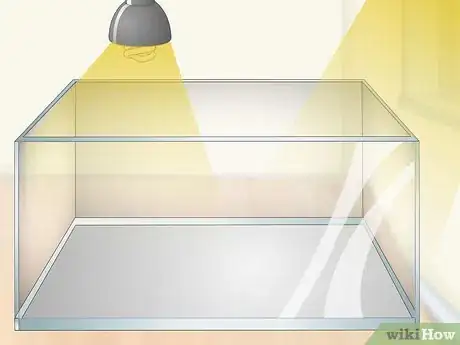 Imagen titulada Care for an Eastern Box Turtle Step 6