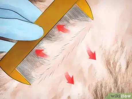 Imagen titulada Get Rid of Dog Lice Step 3