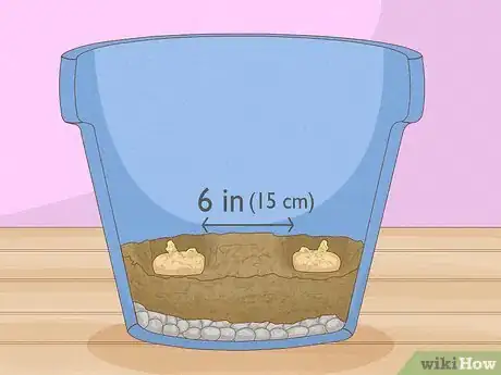 Imagen titulada Grow Potatoes Indoors Step 10