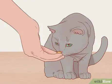 Imagen titulada Greet a Cat Step 14