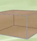 cuidar patitos