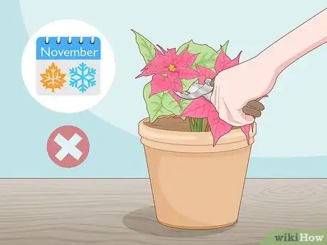 Imagen titulada Prune a Poinsettia Step 5