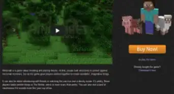 tener un servidor exitoso de Minecraft