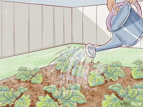 Imagen titulada Care for a Gerbera Daisy Step 11