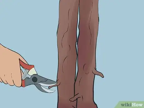 Imagen titulada Prune a Crepe Myrtle Step 6