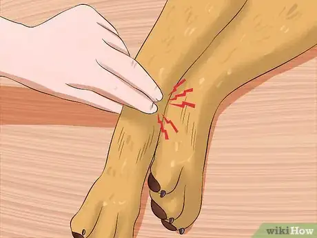 Imagen titulada Measure a Dog's Pulse Step 4