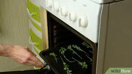 Imagen titulada Dry Oregano Step 18