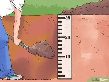 Imagen titulada Care for a Pet Fox Step 2