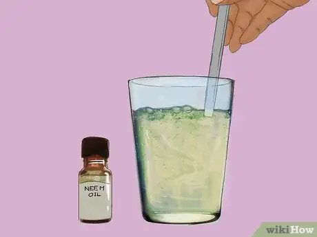 Imagen titulada Get Rid of Chicken Mites Step 13