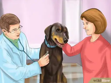 Imagen titulada Spot Signs of Pancreatitis in Dogs Step 6