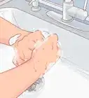 eliminar la tenia en mascotas