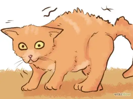 Imagen titulada Stop a Kitten from Biting Step 12.png