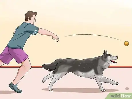 Imagen titulada Teach Your Dog to Speak Step 3
