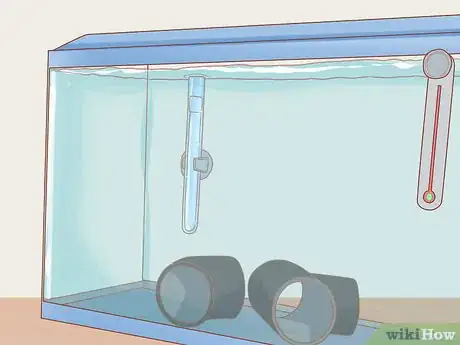 Imagen titulada Care for Neon Tetra Step 11