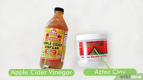 Imagen titulada Use an Aztec Clay Mask Step 1