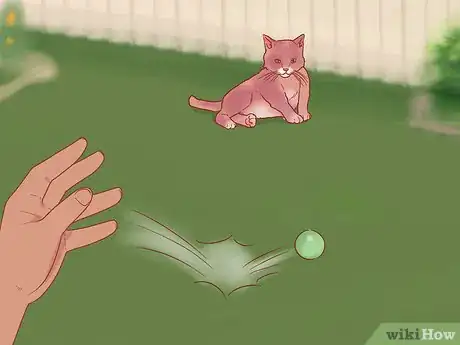 Imagen titulada Greet a Cat Step 10