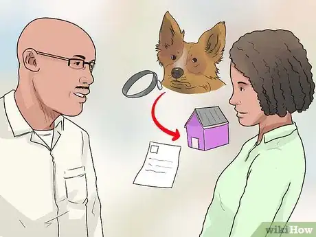Imagen titulada Catch a Stray Dog Step 16