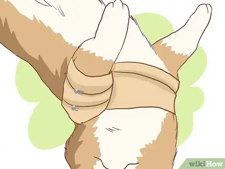 Imagen titulada Wrap a Dog’s Shoulder Step 9