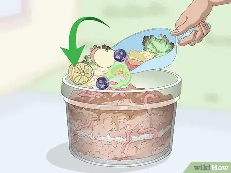 Imagen titulada Feed Worm Farm Worms Step 1