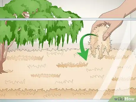 Imagen titulada Care for an Eastern Box Turtle Step 8
