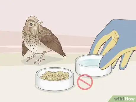 Imagen titulada Help a Bird with a Broken Wing Step 3