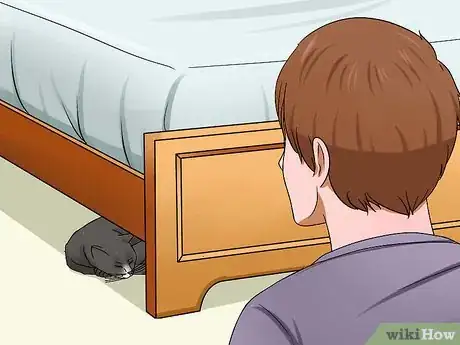 Imagen titulada Have Multiple Cats Step 8