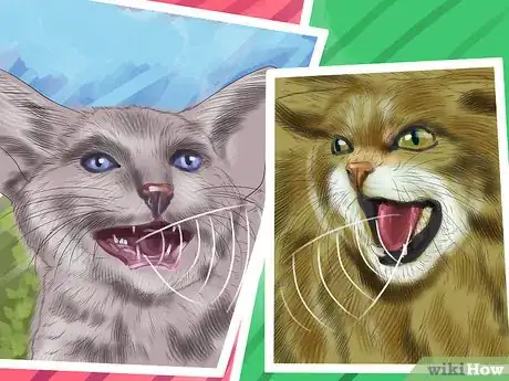 Imagen titulada Understand the Cat's Meow Step 7