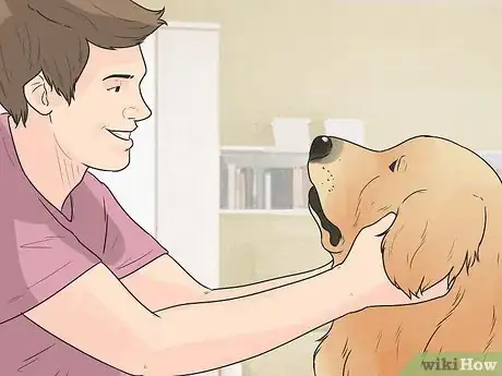 Imagen titulada Encourage Your Dog to Sleep in Your Bed Step 6
