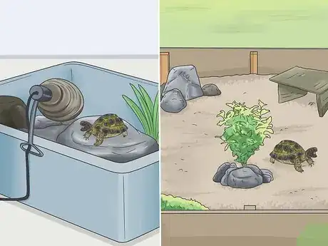 Imagen titulada Make A Habitat for Hermann’s Tortoises Step 1
