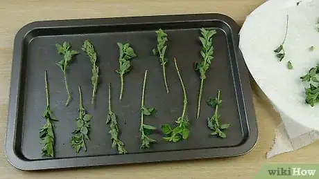 Imagen titulada Dry Oregano Step 17