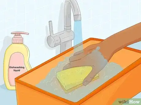 Imagen titulada Bathe a Russian Tortoise Step 13