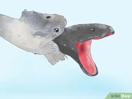 Imagen titulada Care for a Milk Snake Step 10