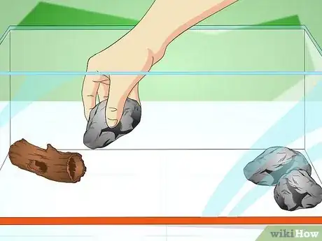 Imagen titulada Care for Your Lizard Step 4