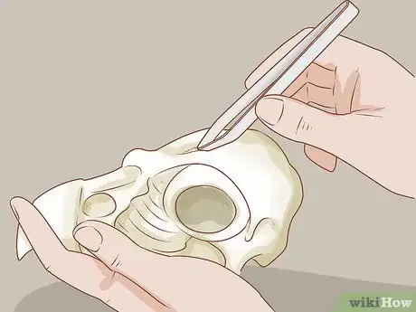 Imagen titulada Clean Bones Step 14