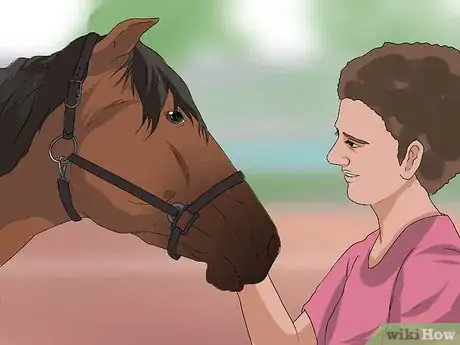 Imagen titulada Halter a Horse Step 10