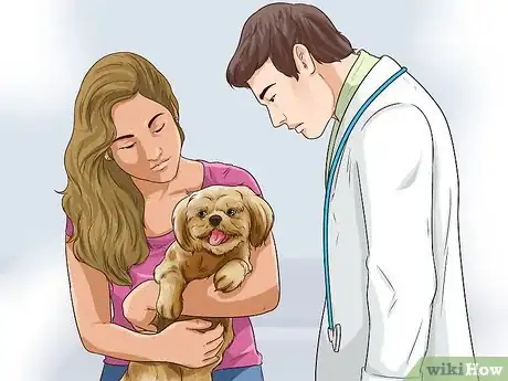 Imagen titulada Adopt a Dog Step 13