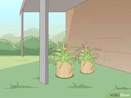 Imagen titulada Care for a Bromeliad Step 5