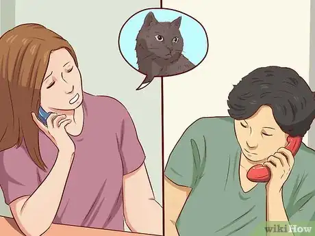 Imagen titulada Catch a Stray Cat Step 12