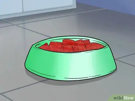 Imagen titulada Buy a Turtle Step 9