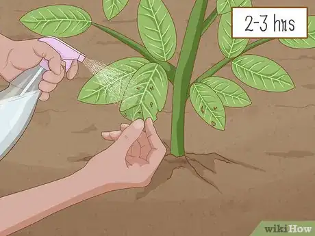 Imagen titulada Apply Diatomaceous Earth Step 4