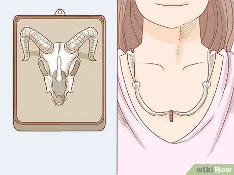 Imagen titulada Clean Bones Step 15