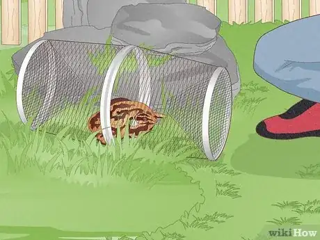 Imagen titulada Trap a Snake Step 5