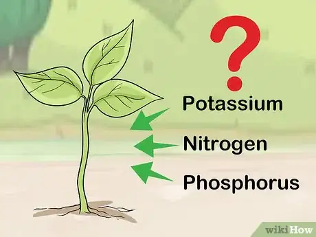Imagen titulada Apply Urea Fertilizer Step 9