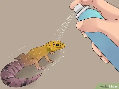 Imagen titulada Care for a Leopard Gecko Step 16