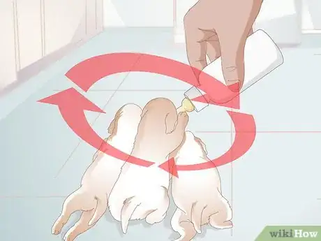 Imagen titulada Feed Newborn Puppies Step 4