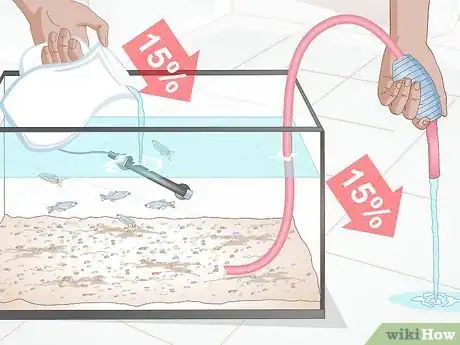 Imagen titulada Care for a Zebra Danio Step 11