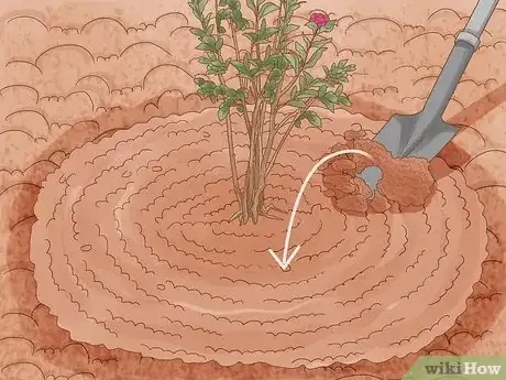 Imagen titulada Grow Crepe Myrtle Step 8
