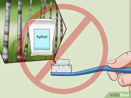 Imagen titulada Clean a Cat's Teeth Step 3