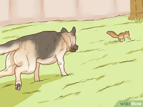 Imagen titulada Get Rid of Squirrels Step 5